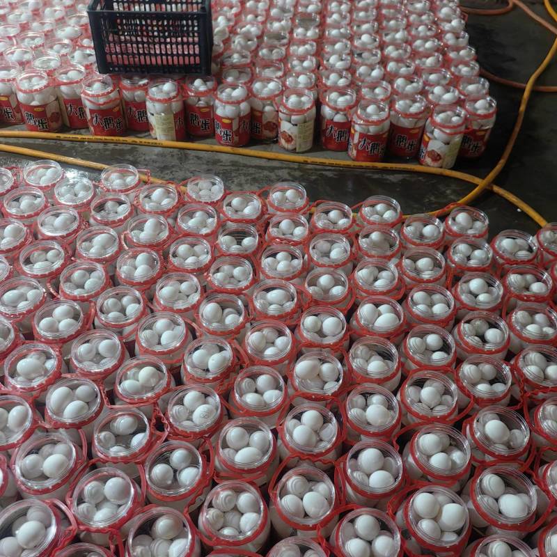 销售赶大集用散黄鸭蛋，裂纹蛋，精品桶装蛋价格美丽需要的来
