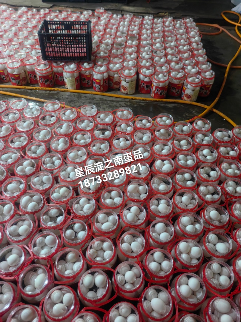 销售赶大集用散黄鸭蛋，裂纹蛋，精品桶装蛋价格美丽需要的来