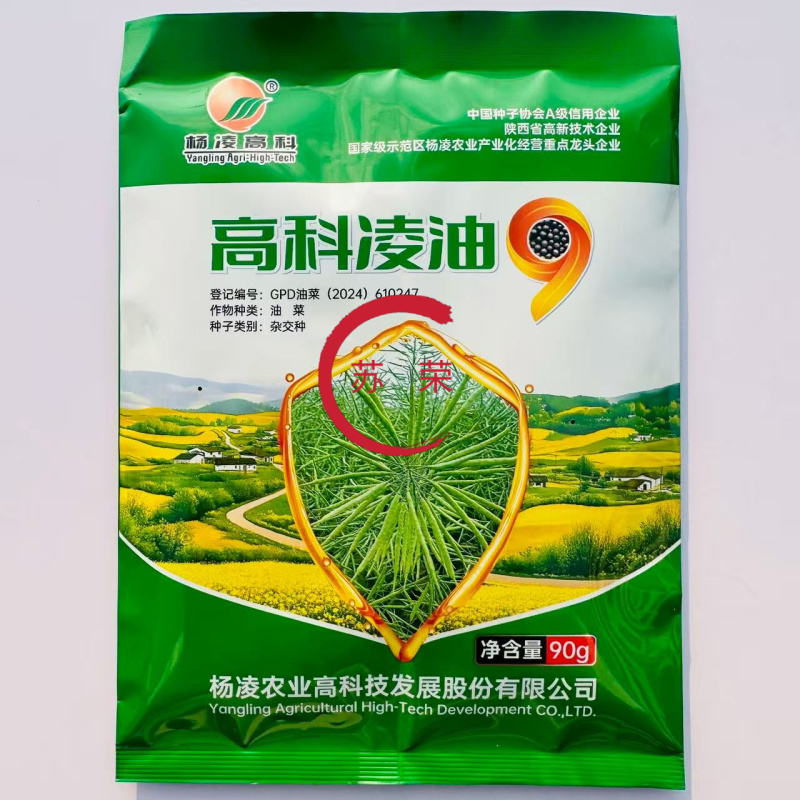 杨凌高科凌油9油菜种子高产高油矮杆耐寒抗病抗倒伏