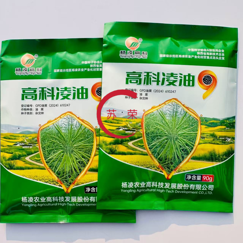 杨凌高科凌油9油菜种子高产高油矮杆耐寒抗病抗倒伏
