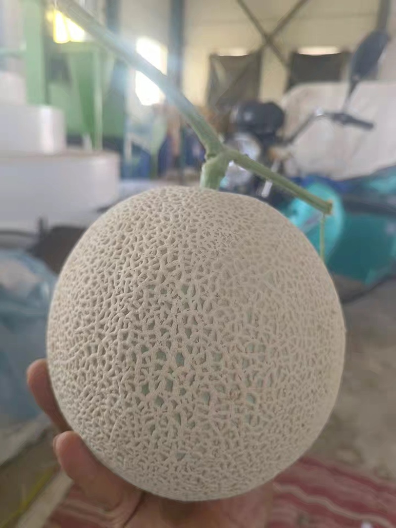 牛三伯格网纹瓜对接商超，各大电商，各类网文瓜，大量有货