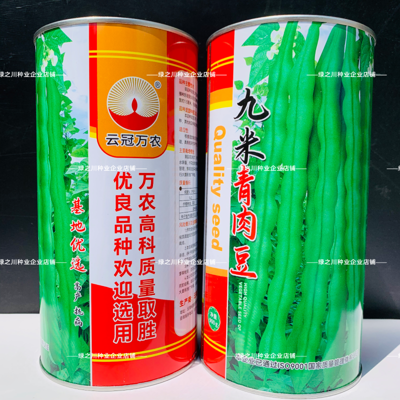 云南九米青肉豆种子大青肉豆四季豆架豆种子青棒肉豆种籽肉厚