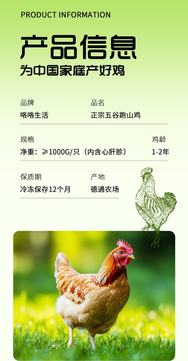 没有抗生素山间散养吃谷物喝山泉水高品质三黄鸡