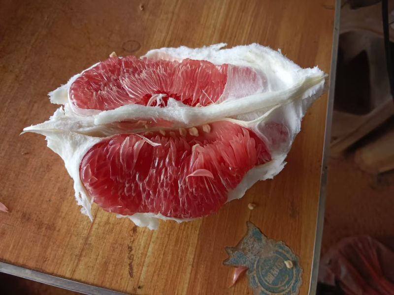 广东梅州蜜柚