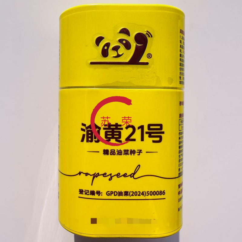 渝黄21号油菜种子纯黄籽甘蓝型中抗菌核病感病毒病抗倒性强