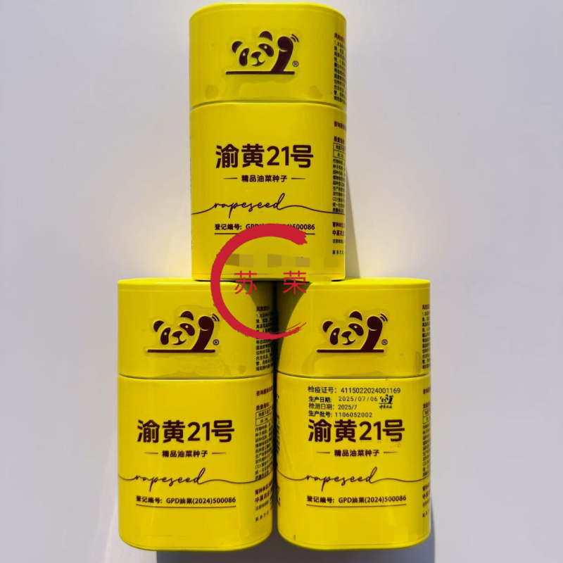 渝黄21号油菜种子纯黄籽甘蓝型中抗菌核病感病毒病抗倒性强