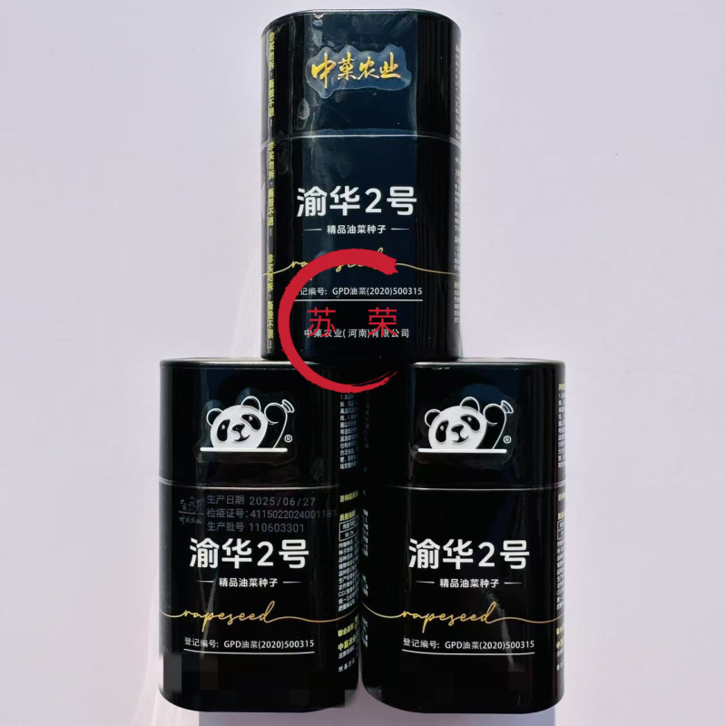 渝华2号油菜种子荚长抗病毒杂交高油油菜籽种秋播油菜种籽