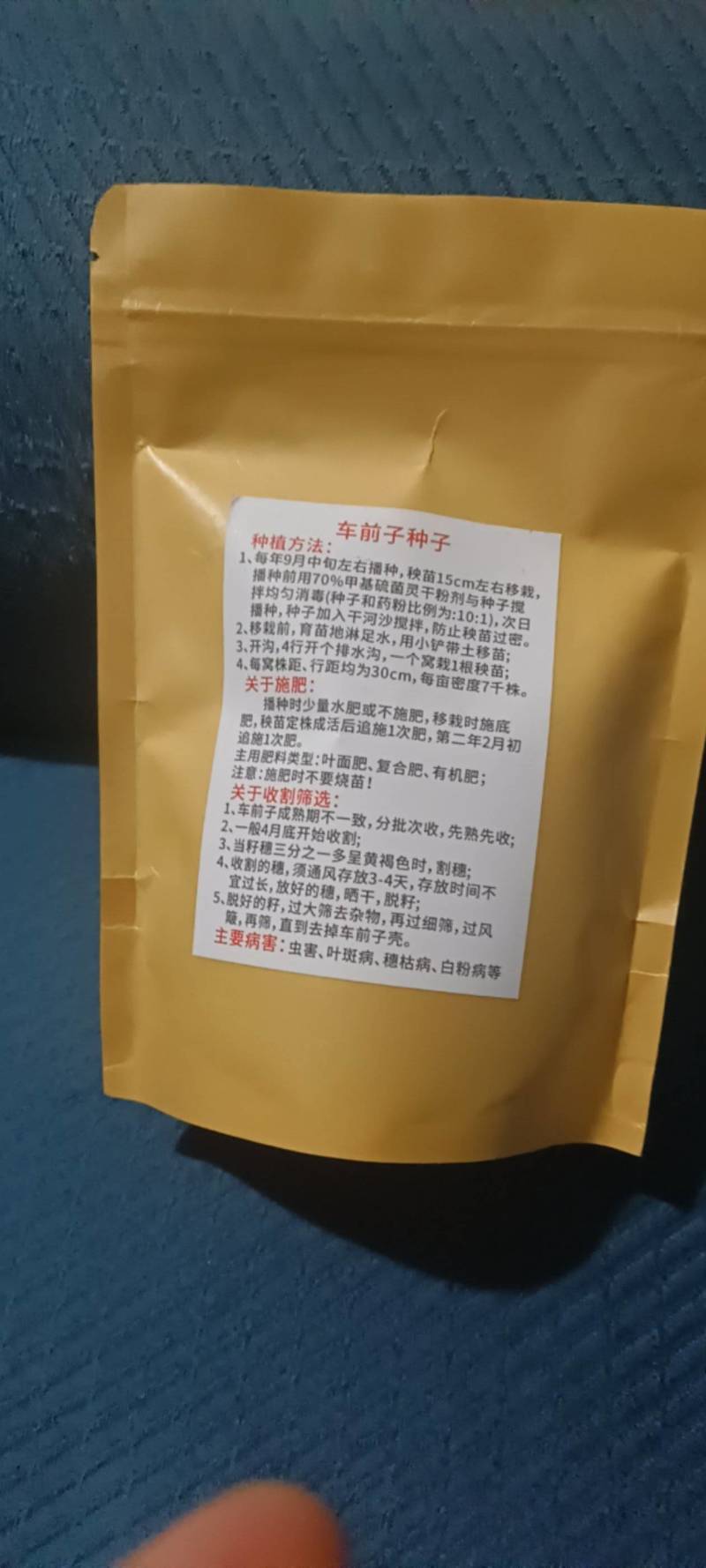 车前草（种子）