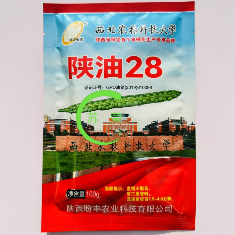 陕油28号油菜种子秋冬季耐寒甘蓝型杂交菜籽种高产抗病