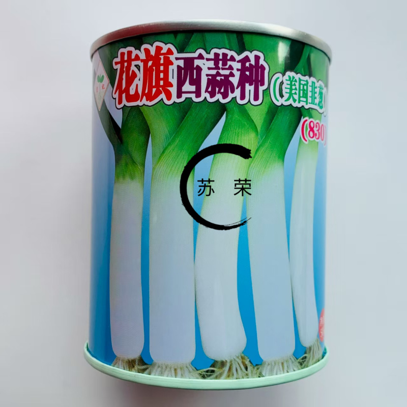 花旗西蒜美国韭葱种子中早熟植株直立蒜肉粗长紧实味浓