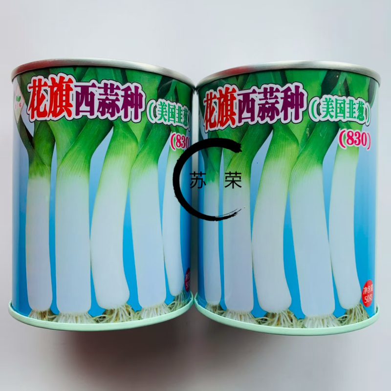 花旗西蒜美国韭葱种子中早熟植株直立蒜肉粗长紧实味浓