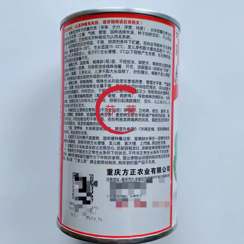丁家儿菜早生娃儿菜种子基地级早熟儿大娃娃菜抱子菜