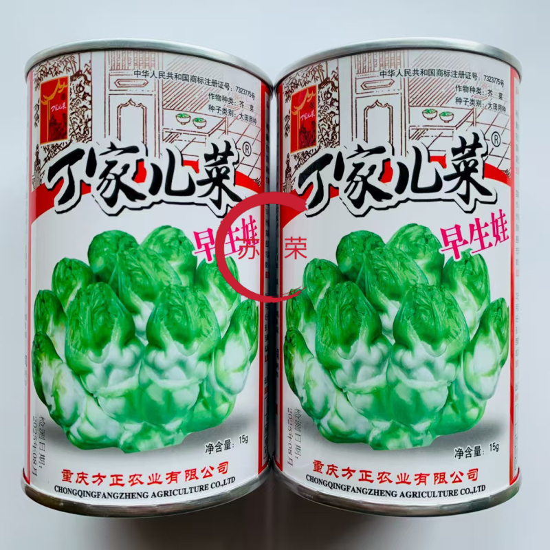 丁家儿菜早生娃儿菜种子基地级早熟儿大娃娃菜抱子菜