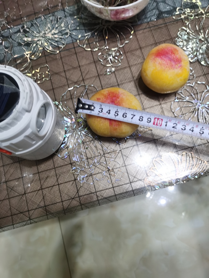 辽宁省大连市普兰店区国丰大甜李子