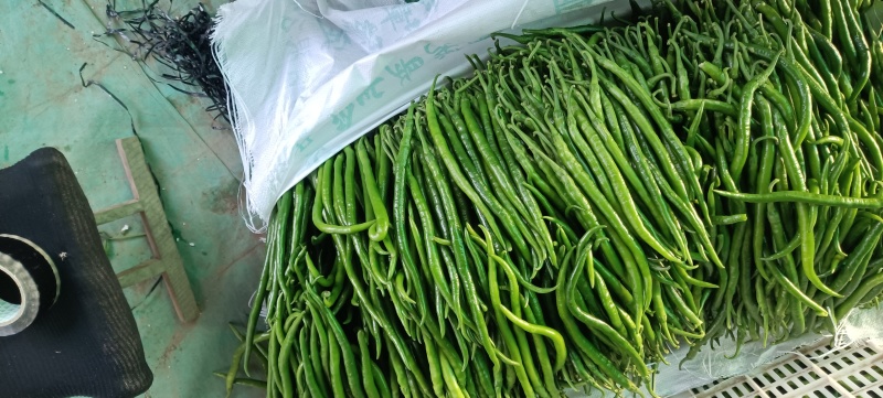 山东省青州市优质农产品生产基地