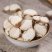 沙姜山奈砂姜三奈干沙姜粉山奈粉调料卤料三柰香