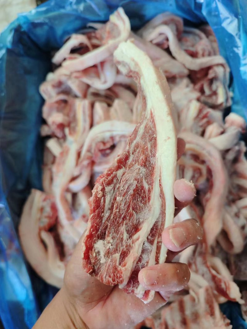 羊排筋。肥瘦相间，带肉，带筋，属于筋膜或韧带