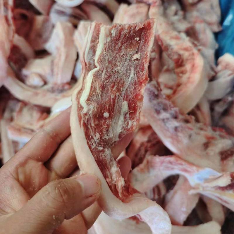 羊排筋。肥瘦相间，带肉，带筋，属于筋膜或韧带