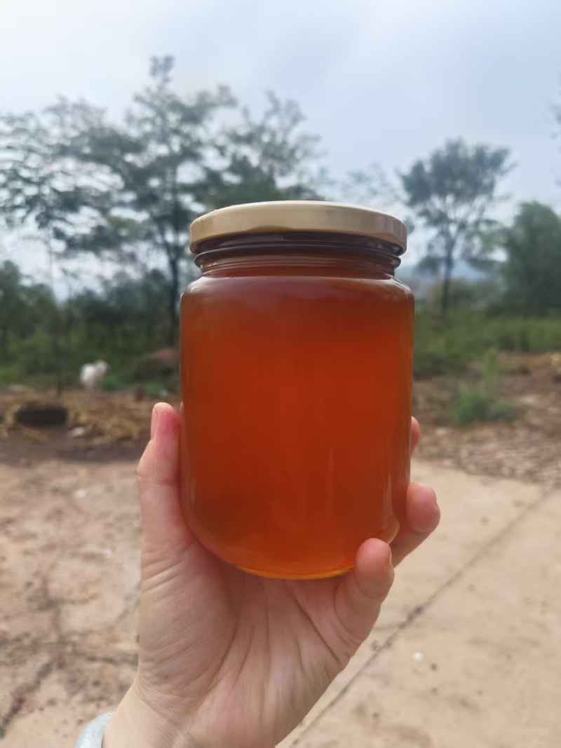 沂蒙山百花蜜