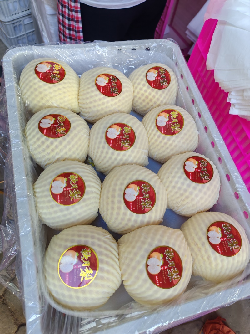 山东聊城冠县永莲蜜桃基地