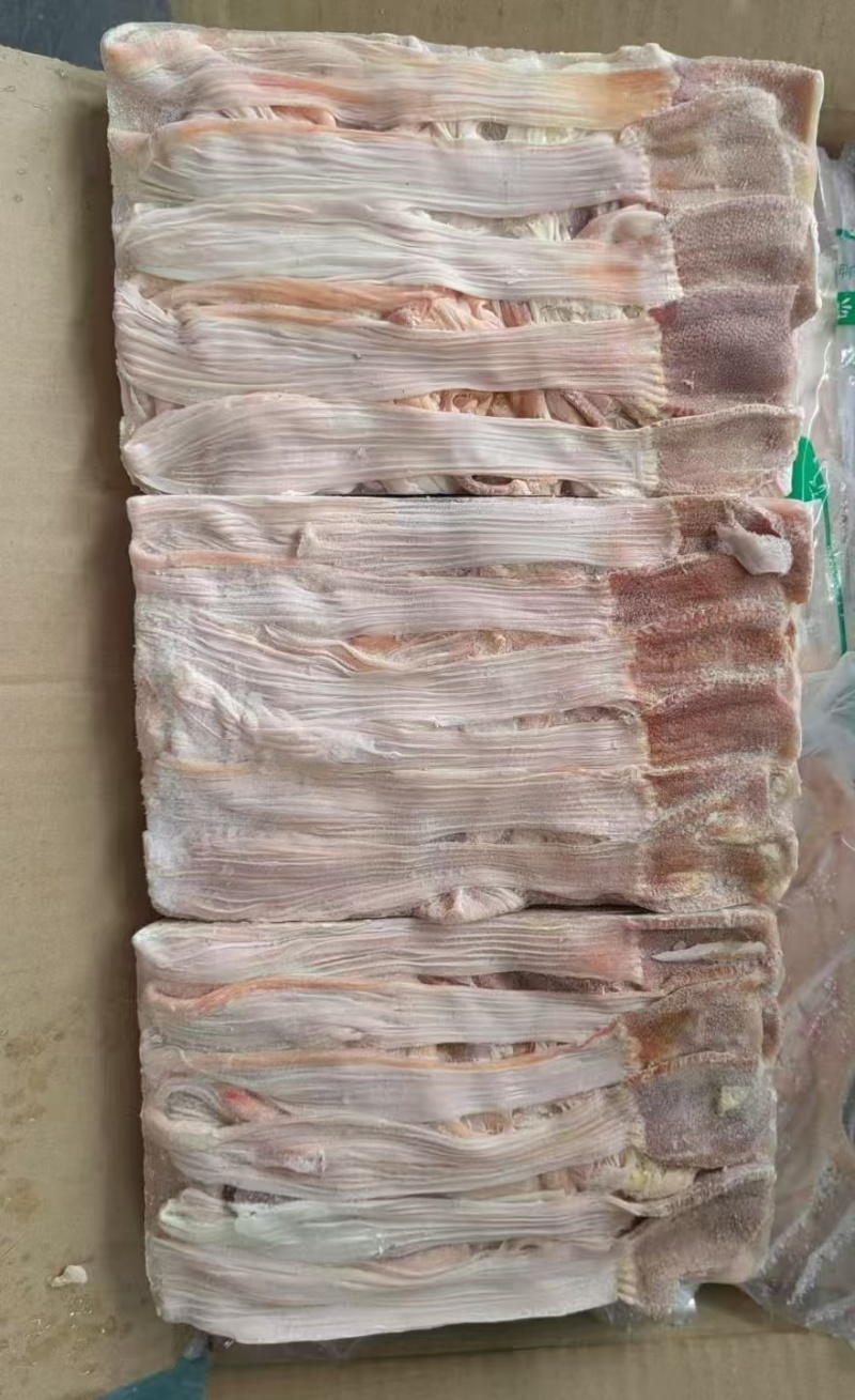 鸭食带厂家新货质量好长期有货可以视频看货