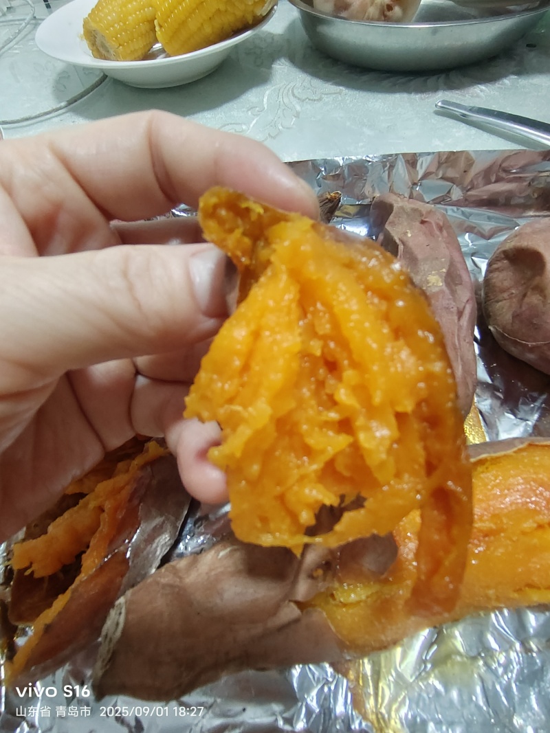 烟台昆嵛山山脚下沙土烟薯25号地瓜