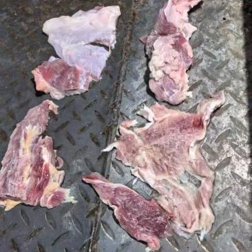 牛肉筋纯干