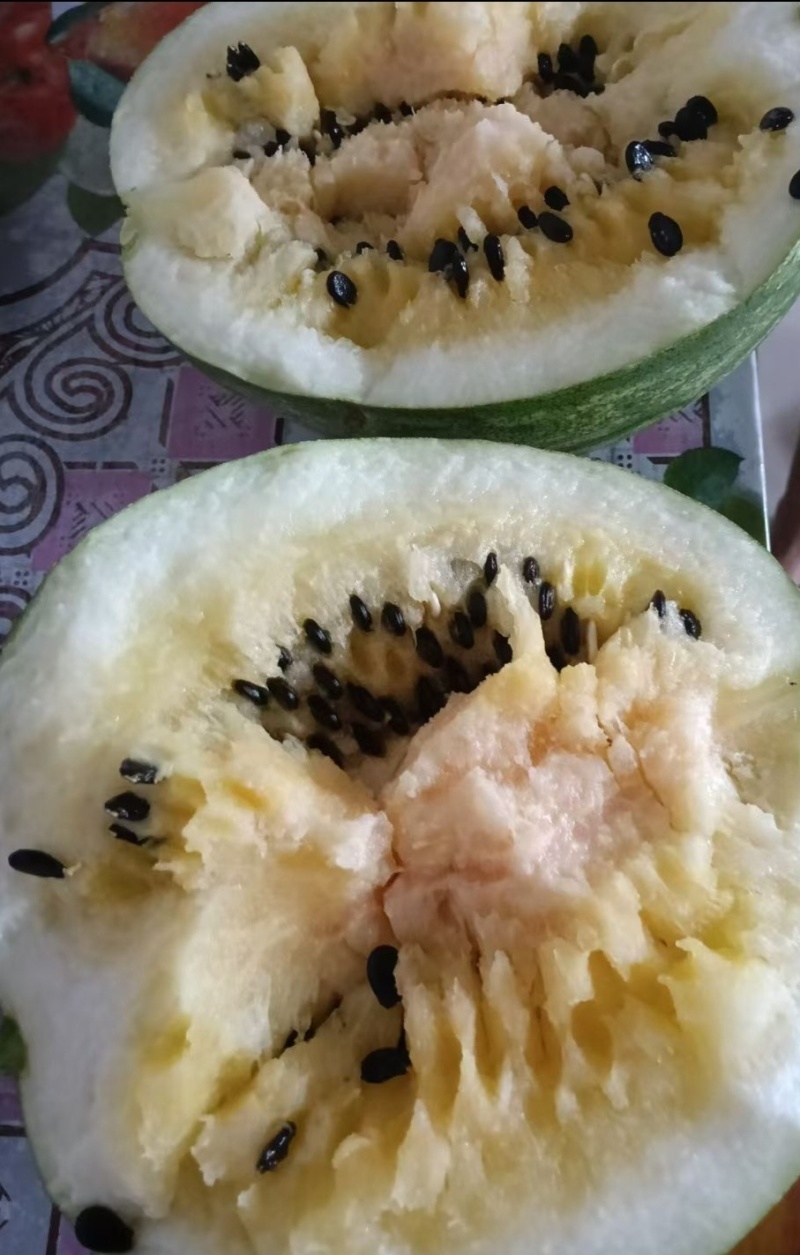 精品西瓜电商供货