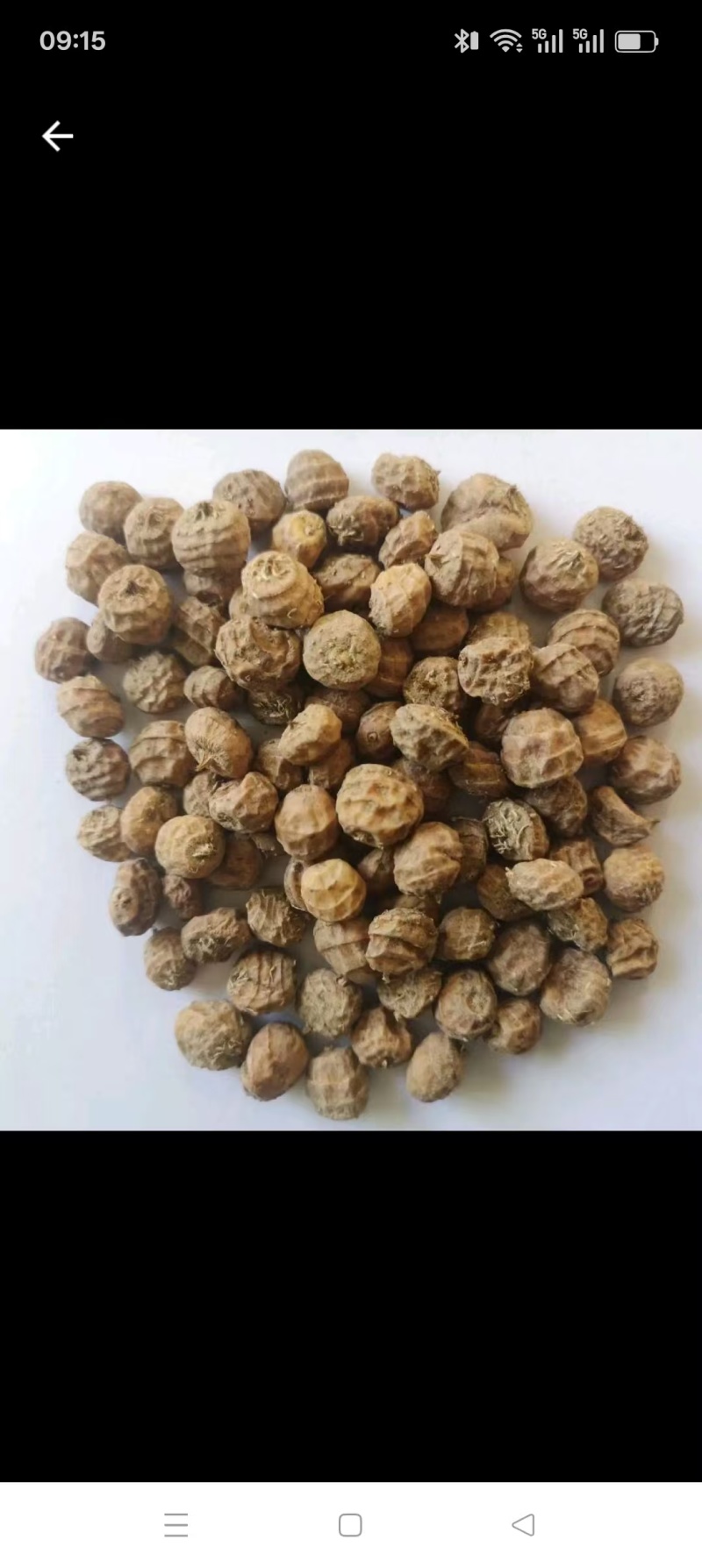 油沙豆