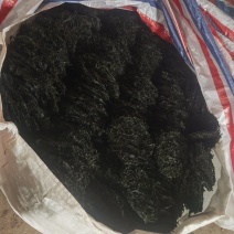 免洗烘干海带丝凉拌爆炒都可以！