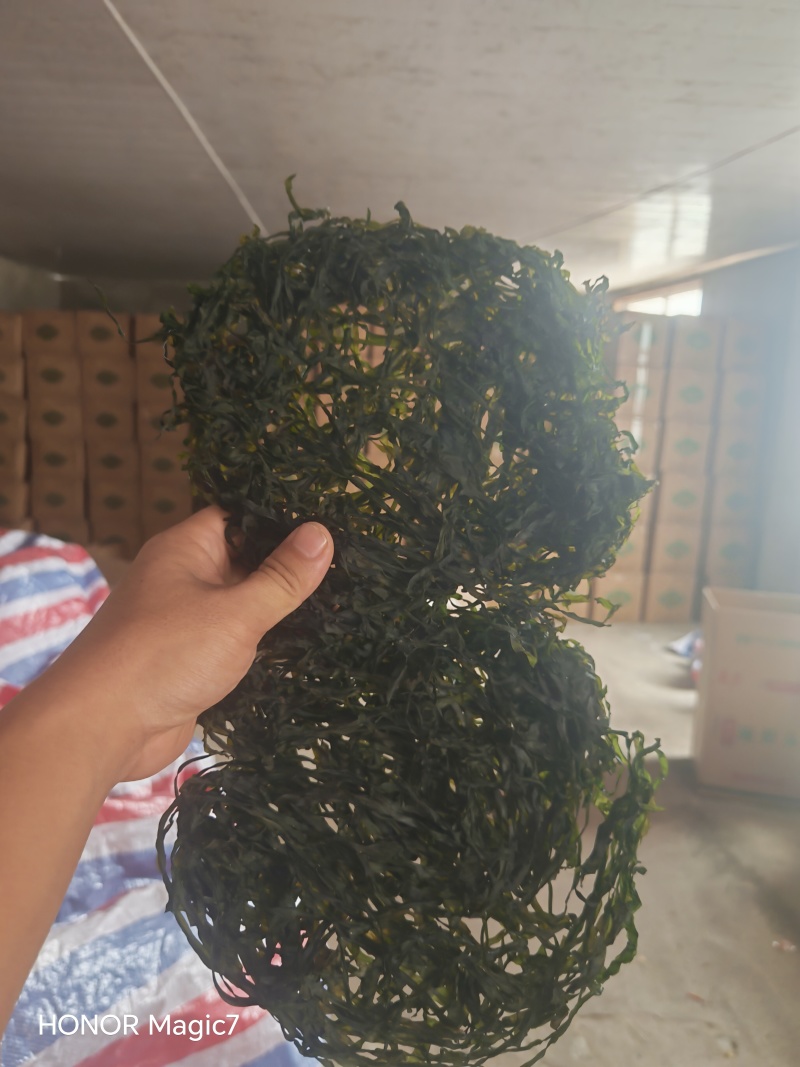 免洗烘干海带丝凉拌爆炒都可以！