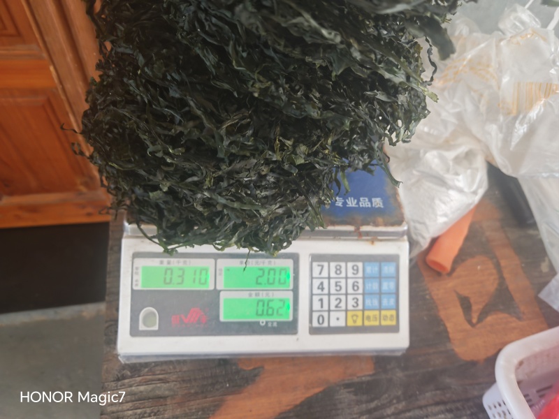 免洗烘干海带丝凉拌爆炒都可以！