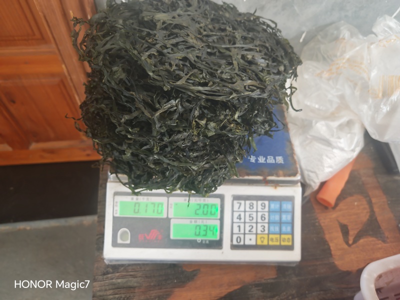 免洗烘干海带丝凉拌爆炒都可以！