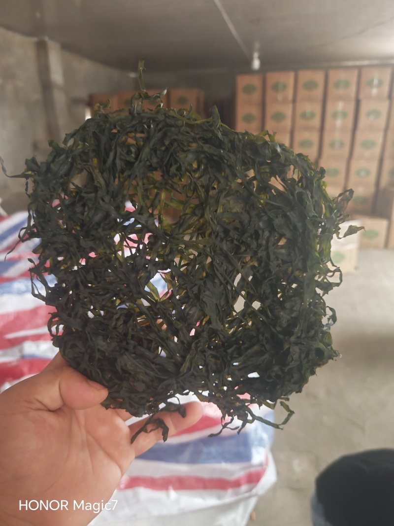 免洗烘干海带丝凉拌爆炒都可以！