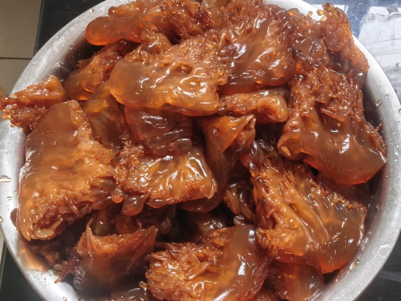 山东野生海蜇头海蜇角（蜇头蜇皮蜇丝全品类）