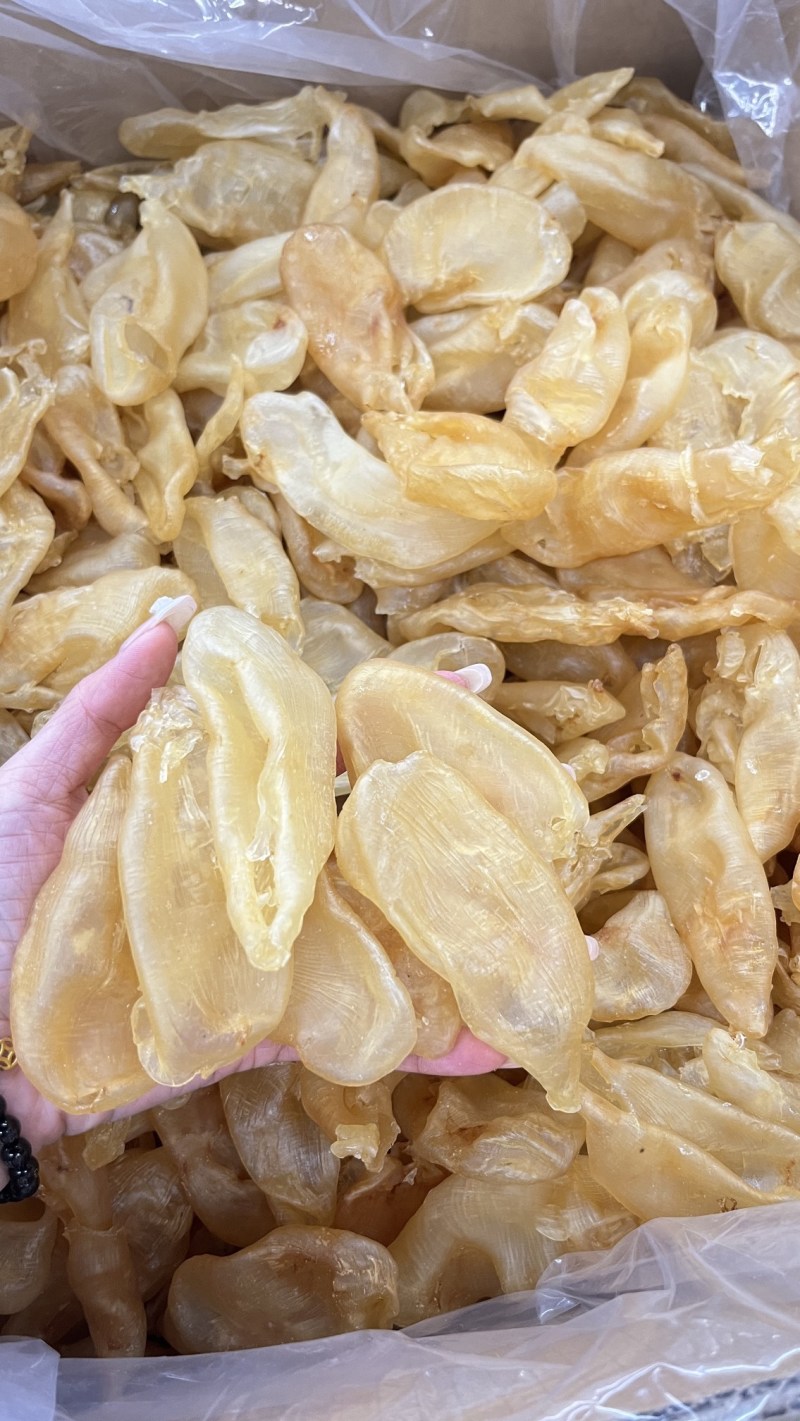海味干货-北海珍珠胶