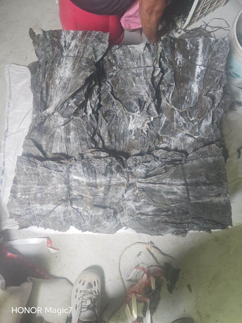 剪头去尾只留中间厚实部分加工！炖汤关东煮等等都可以
