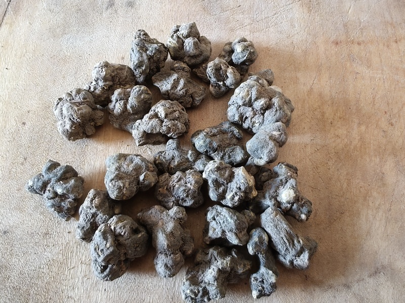 纯精品，人工精挑，无硫无杂。需要的老板联系我。