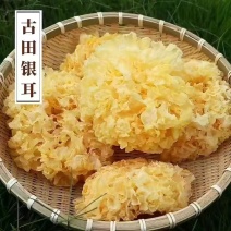 一手货源，品质保证，大量供货，价格实惠