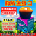 浓缩海藻液促根壮根膨果壮果好原料防寒抗冻深海能量
