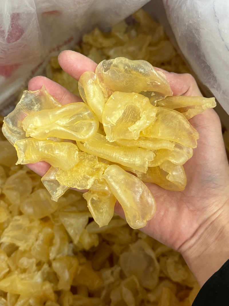 海味干货-缅甸珍珠胶