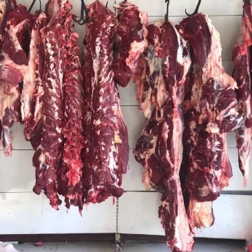 鲜牛肉