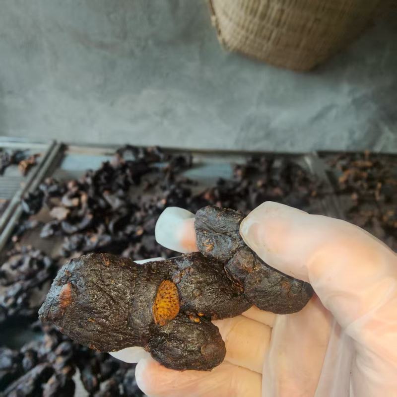 九蒸九晒黄精大量上市，产地直发，品质保证，服务周到