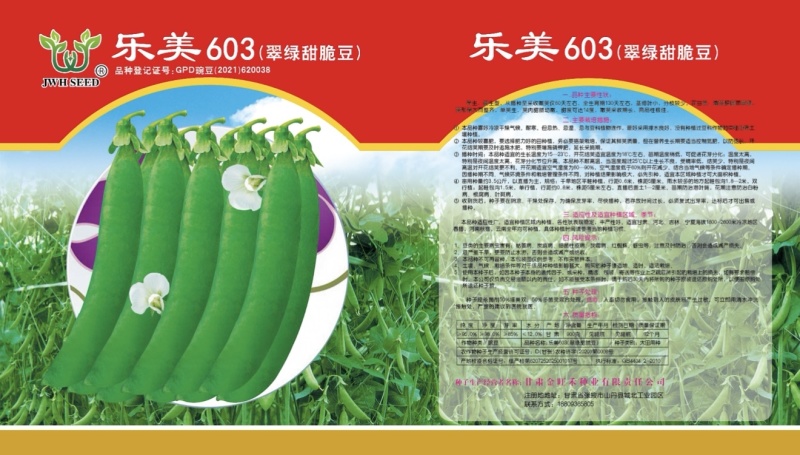 乐美603甜脆豆品质保证服务周到
