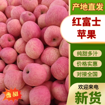 沂源苹果大量上市沂源红富士苹果口感脆甜