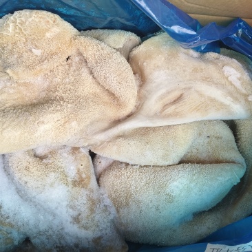 八分牛肚