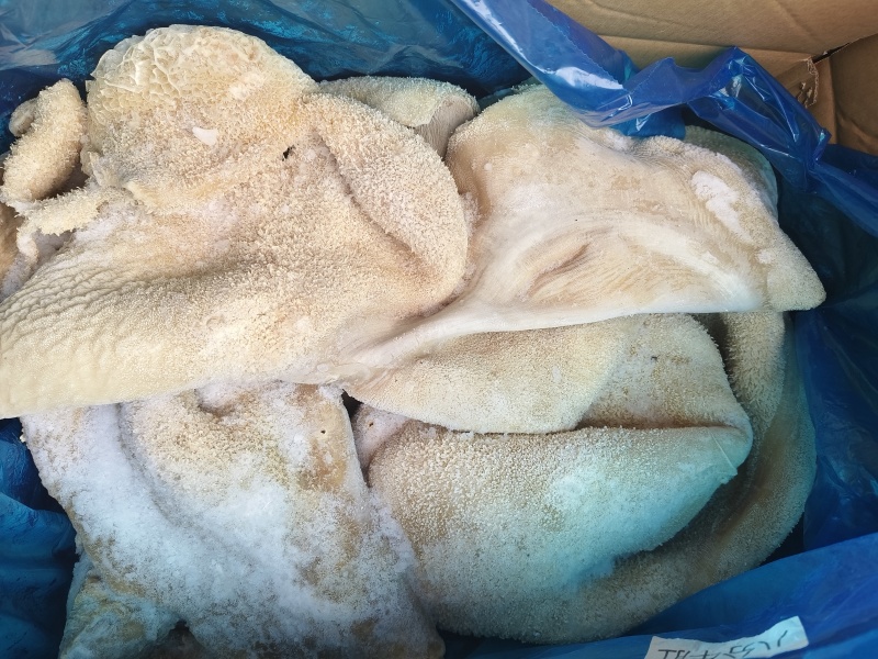 八分牛肚