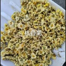 菊花）