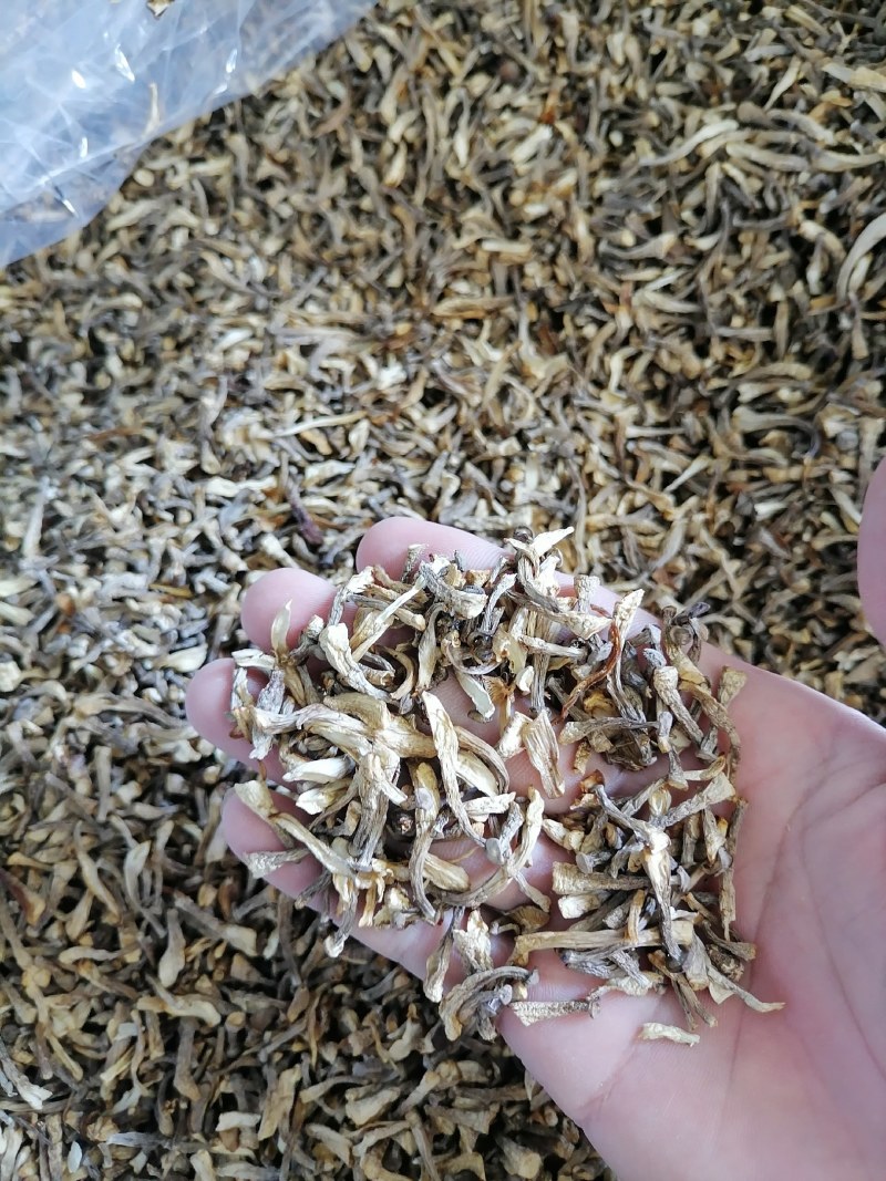 鹿茸菇碎菇，鹿茸菇菇碎，碎鹿茸菇，鹿茸菇碎片