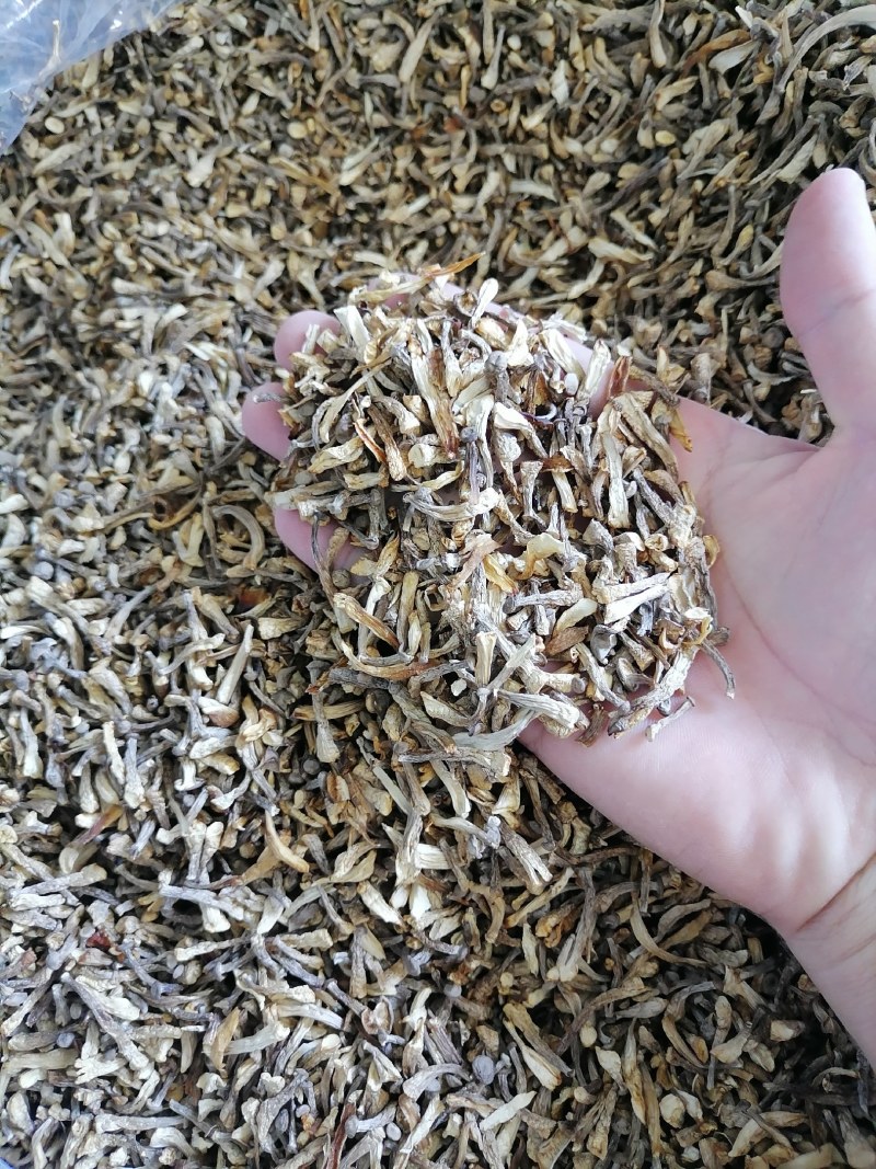 鹿茸菇碎菇，鹿茸菇菇碎，碎鹿茸菇，鹿茸菇碎片